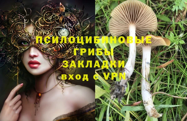дурь Абдулино