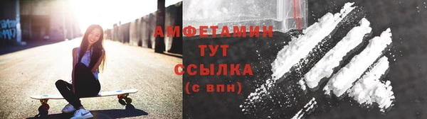 прущие грибы Абаза