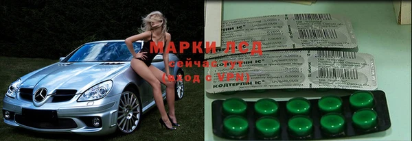 прущие грибы Абаза