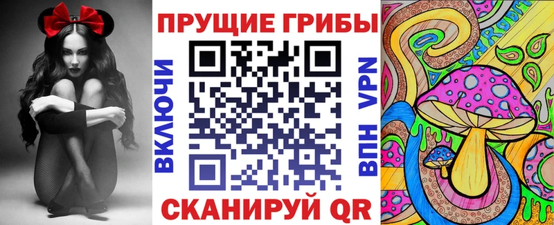 где можно купить наркотик Старый Крым hydra сайт Псилоцибиновые грибы GOLDEN TEACHER